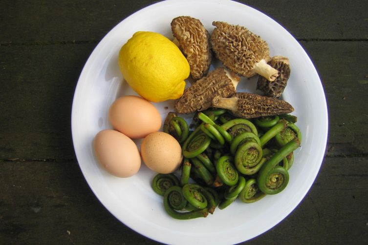 Fiddlehead and Morel Eggs Benedict