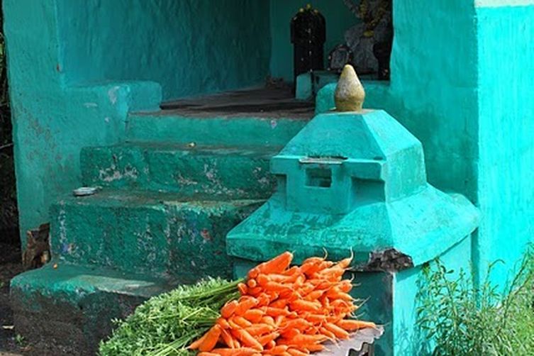 CARROT  PULAO.