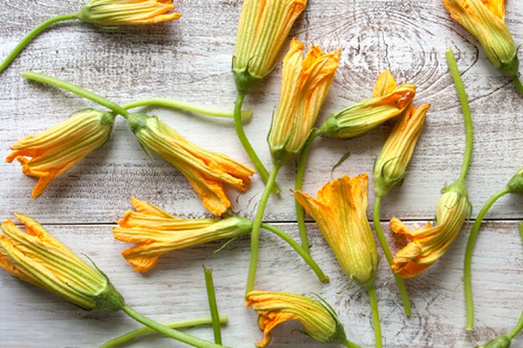 Stuffed Zucchini Blossoms