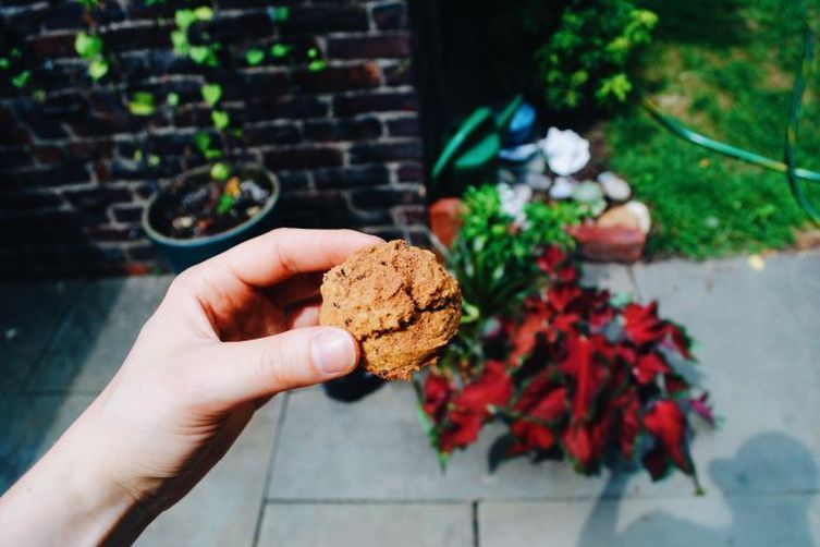 Crumbly Ginger Date Breakfast Cookies