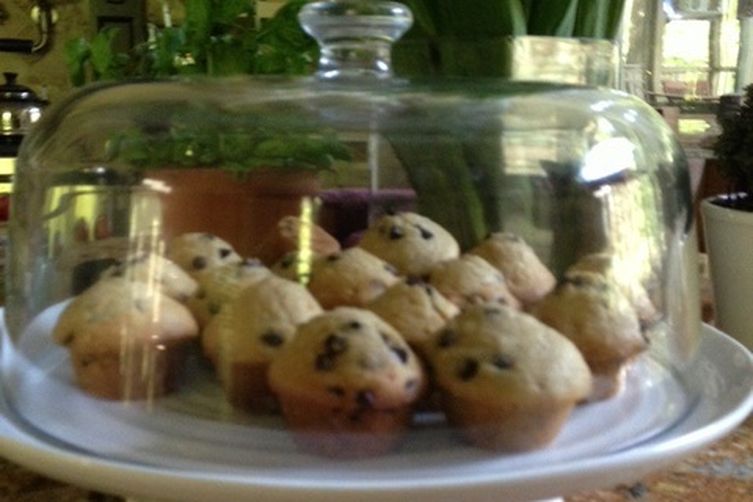 Chocolate Chip Mini Muffins