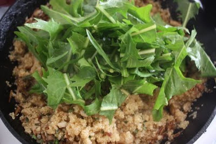quinoa with wild mushrooms, black-eyed peas and dandies