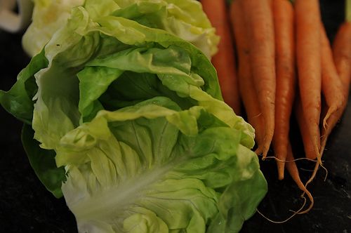 Glazed Carrots with Braised Bibb Lettuce