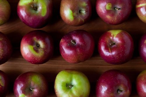 Judy Rodgers' Roasted Applesauce (and Savory Apple Charlottes)