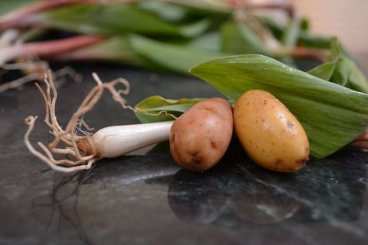 Ramps &amp; fingerling potatoes curry.- an Indian Ramp Tramp contagion